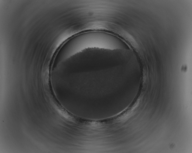 X0000101431226200807141233