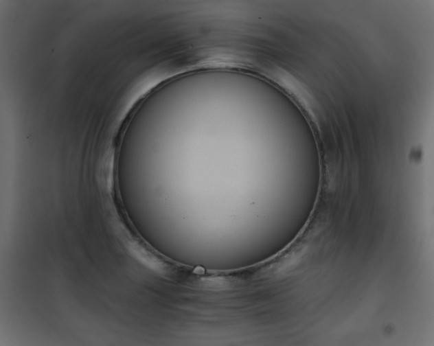 X0000101431227200807141233