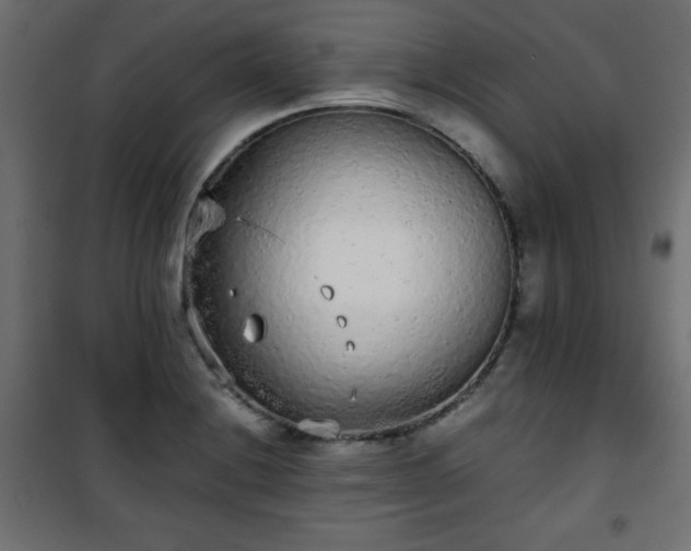 X0000101431228200807141233