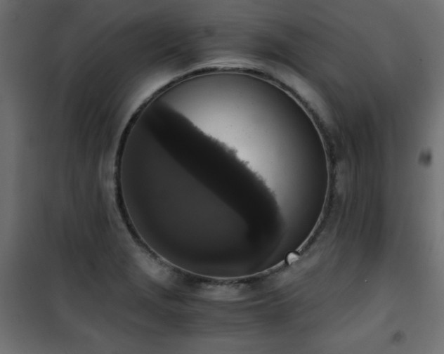 X0000101431229200807141234