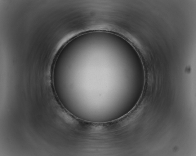 X0000101431230200807141234