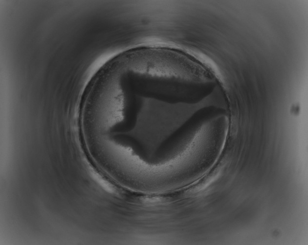 X0000101431231200807141234