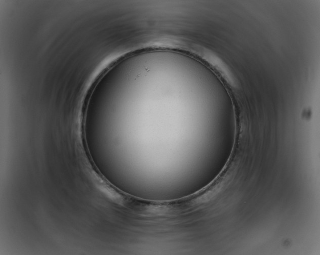X0000101431232200807141234