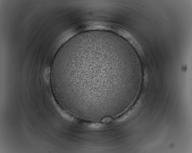 X0000101431233200807141234