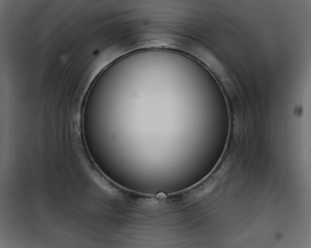 X0000101431234200807141234