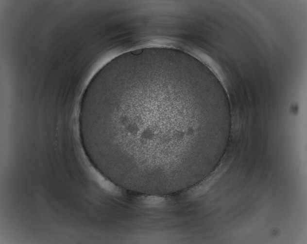 X0000101431235200807141234