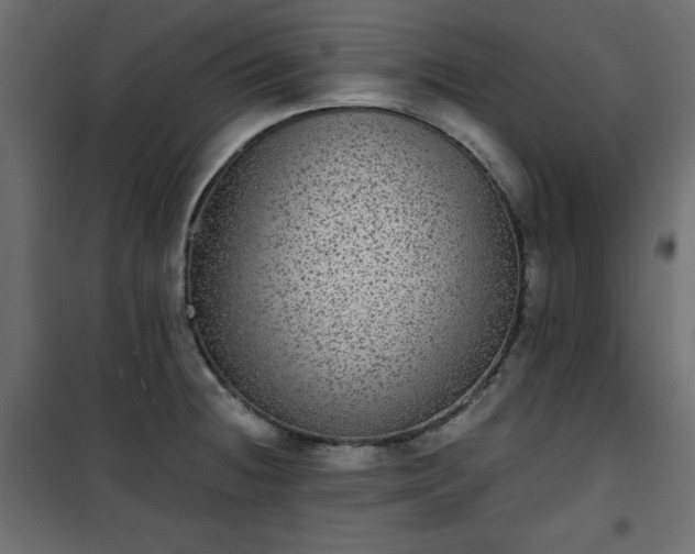 X0000101431236200807141234