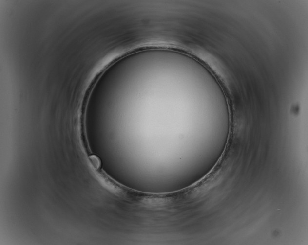 X0000101431237200807141234