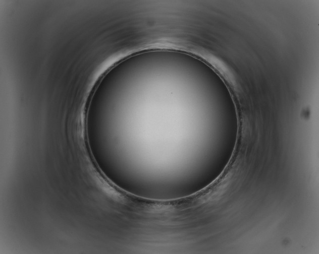 X0000101431238200807141234