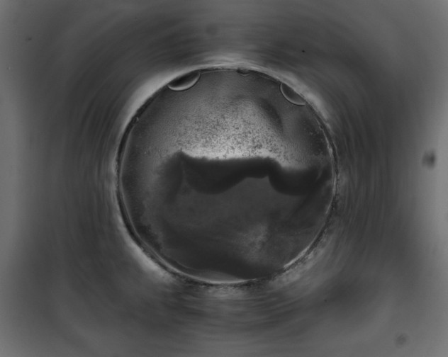 X0000101431239200807141234