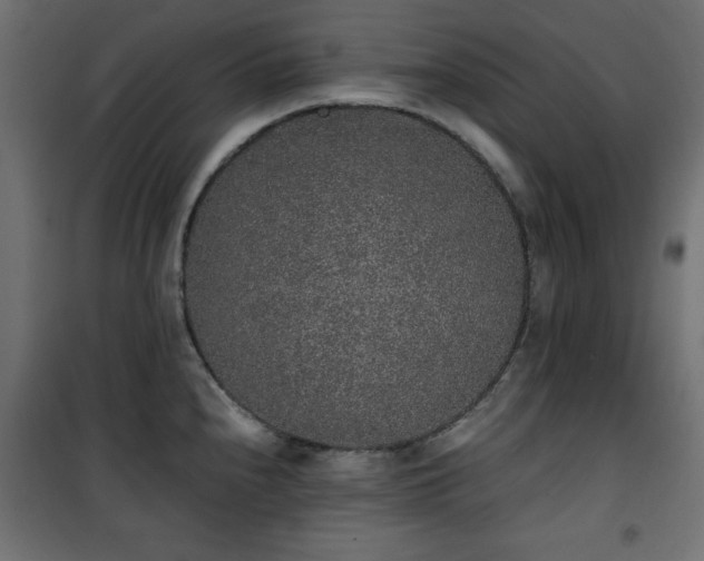 X0000101431240200807141234
