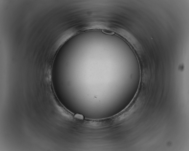 X0000101431241200807141234