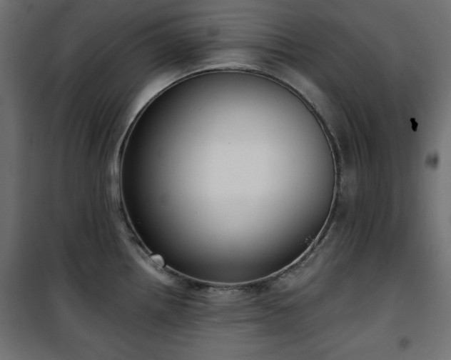 X0000101431242200807141234
