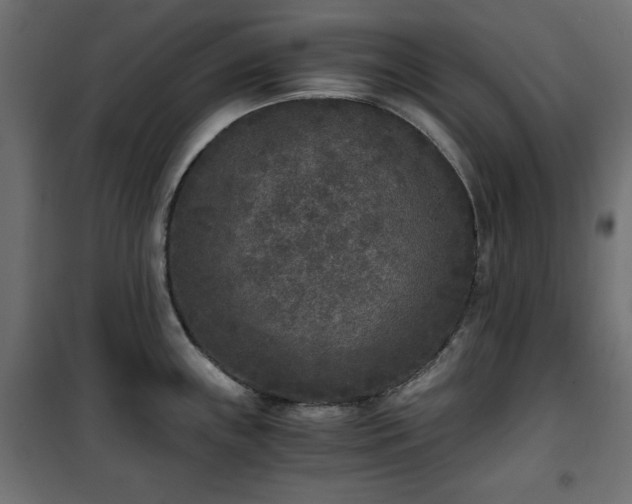 X0000101431243200807141234