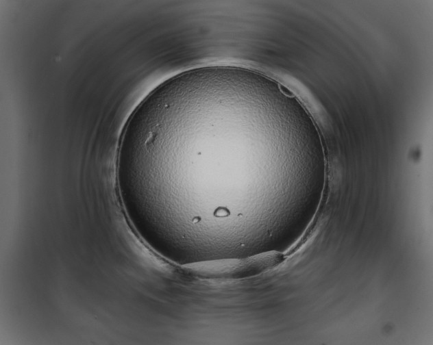 X0000101431244200807141234