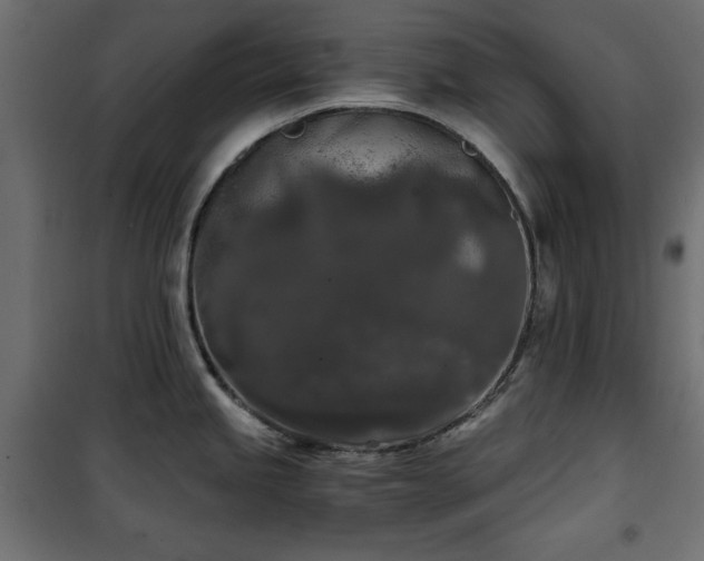 X0000101431245200807141234