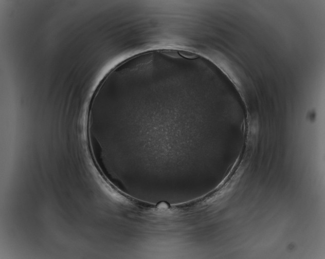 X0000101431246200807141234
