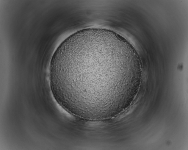 X0000101431247200807141234