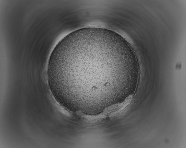 X0000101431248200807141234