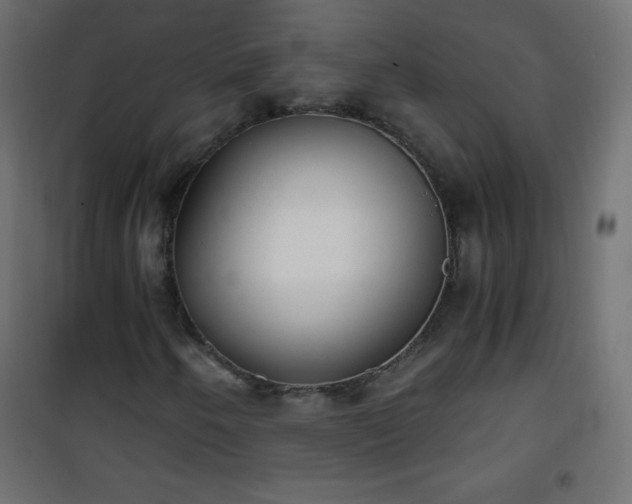 X0000101431250200807141233