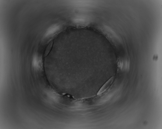 X0000101431252200807141233