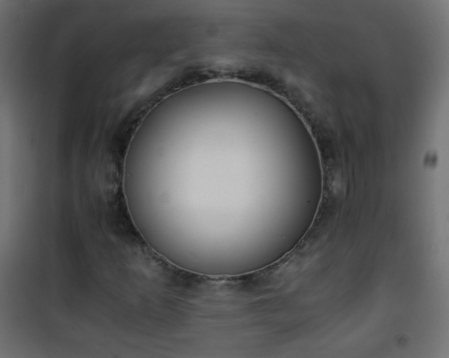 X0000101431253200807141233