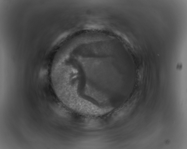 X0000101431254200807141233