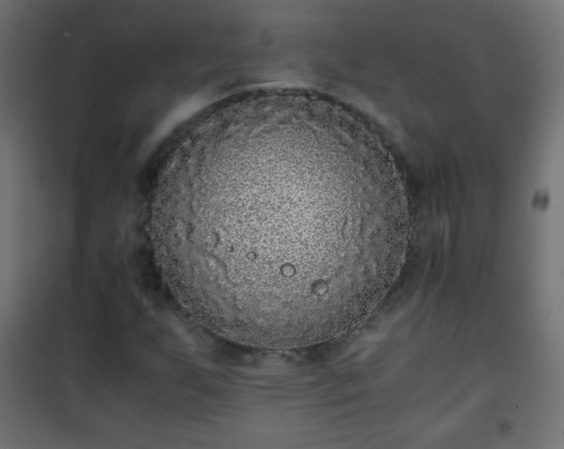 X0000101431255200807141233