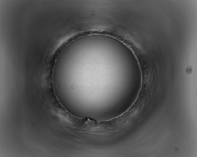 X0000101431256200807141233
