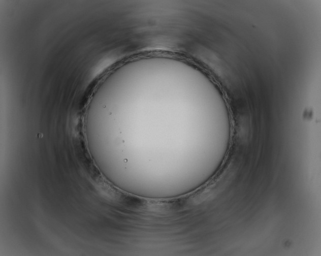 X0000101431258200807141233