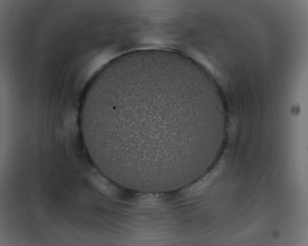 X0000101431259200807141233