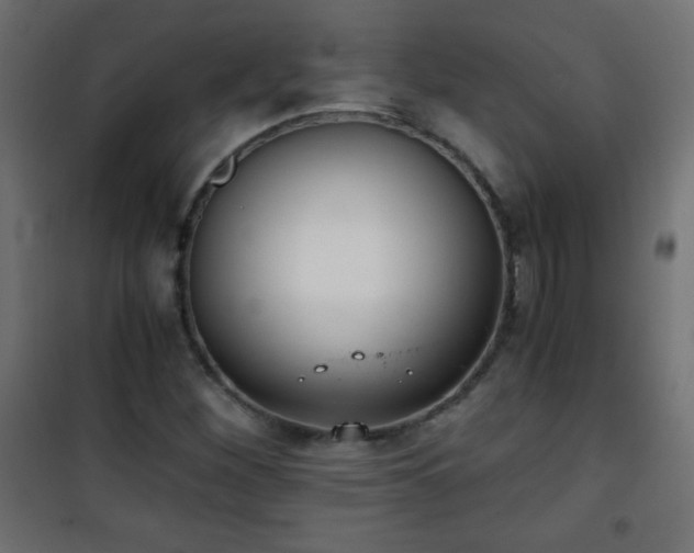 X0000101431260200807141233