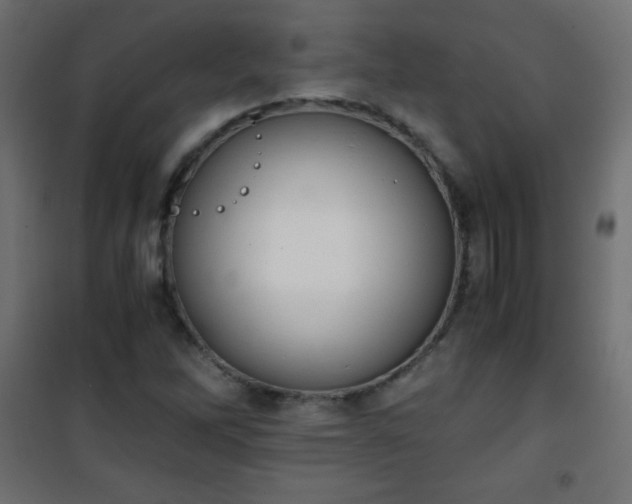 X0000101431262200807141233