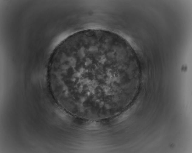 X0000101431263200807141233