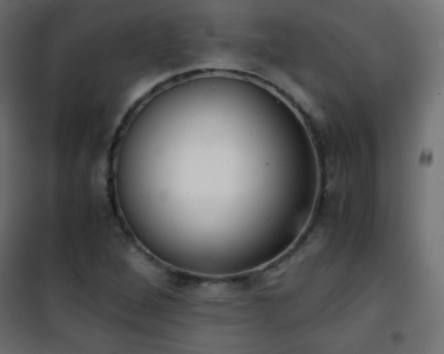 X0000101431264200807141233