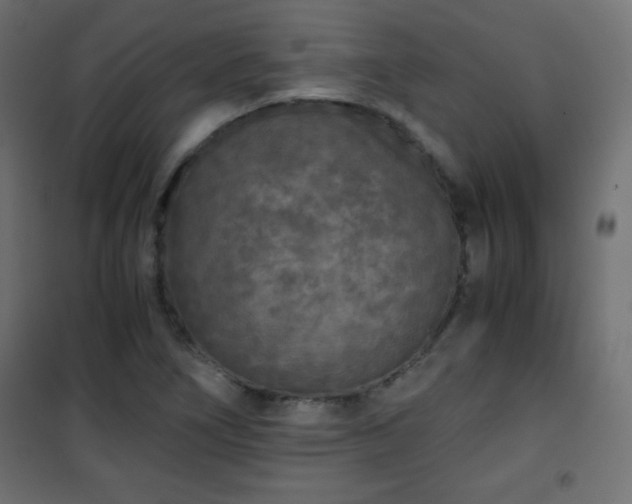 X0000101431266200807141233