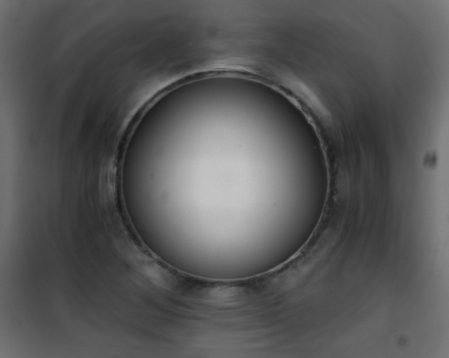 X0000101431268200807141233