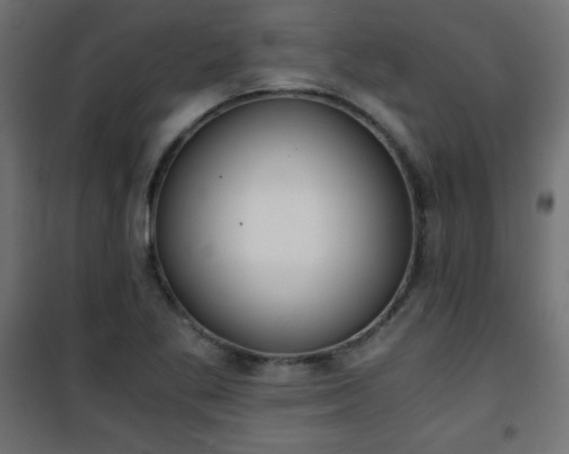 X0000101431269200807141233