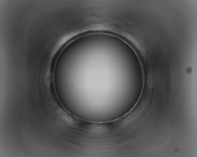 X0000101431270200807141233