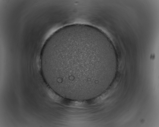X0000101431271200807141233