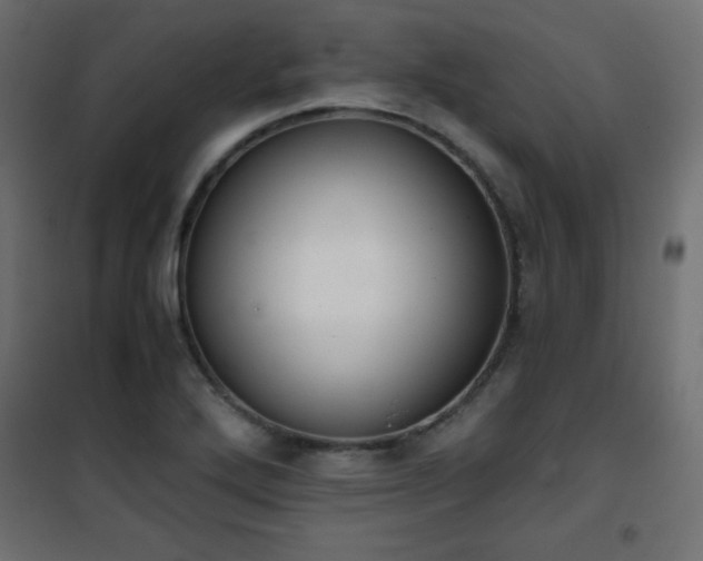X0000101431272200807141233
