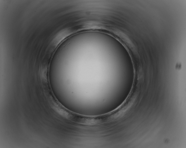 X0000101431273200807141233