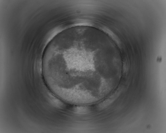 X0000101431274200807141233