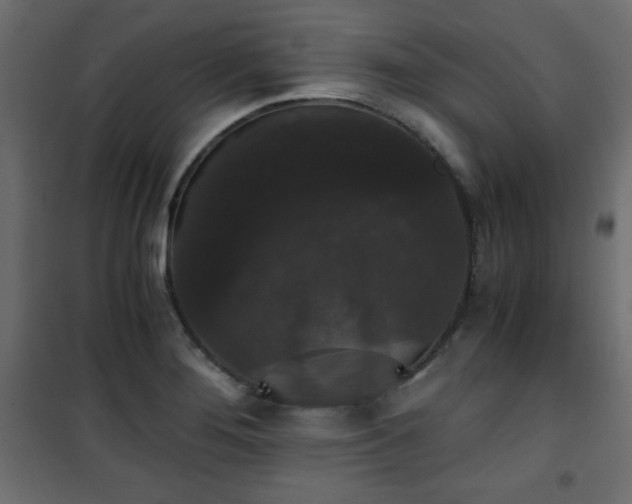 X0000101431276200807141233