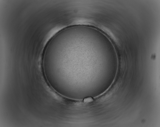 X0000101431277200807141233