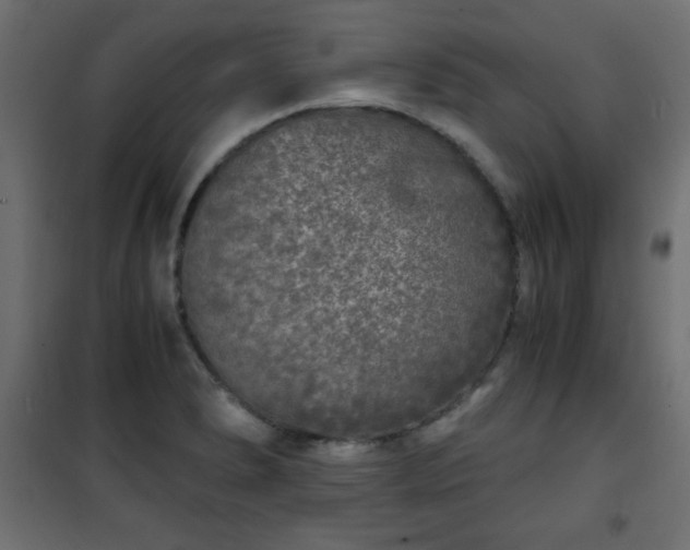 X0000101431278200807141233