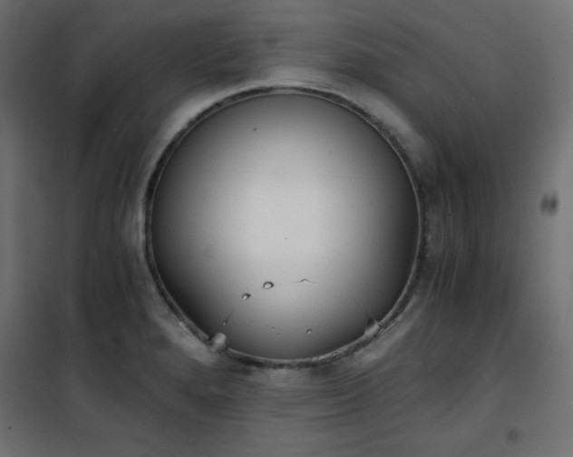 X0000101431280200807141233