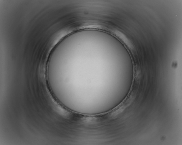X0000101431282200807141232