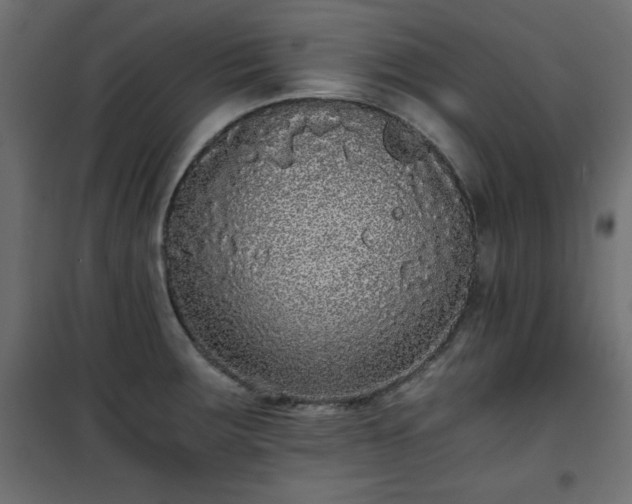 X0000101431283200807141232