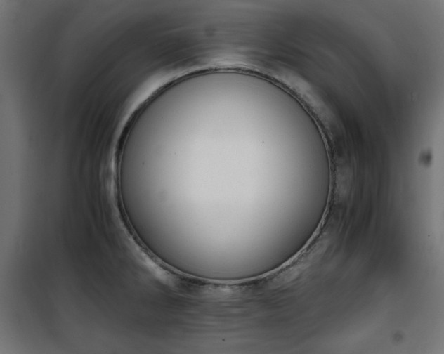 X0000101431286200807141232